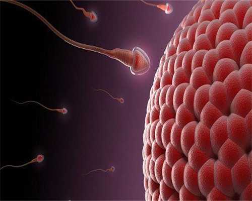 代孕产子医院-取卵28个成功率取卵28个能配成几个