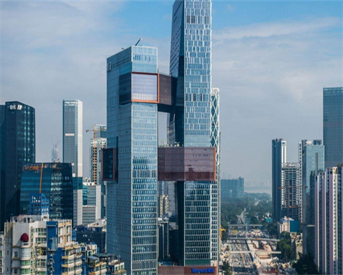 上海最有名的双胞胎代生医院在哪里？