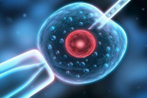 山东济南试管婴儿医院排名(山东济南试管婴儿哪家好)