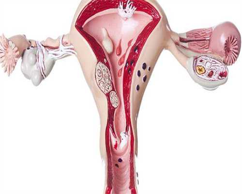 青岛正规助孕公司大全